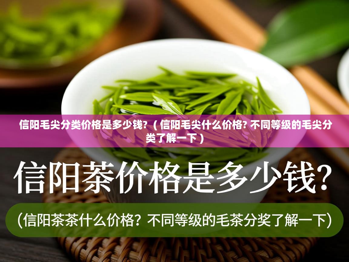  信阳毛尖分类价格是多少钱?  ( 信阳毛尖什么价格? 不同等级的毛尖分类了解一下 )