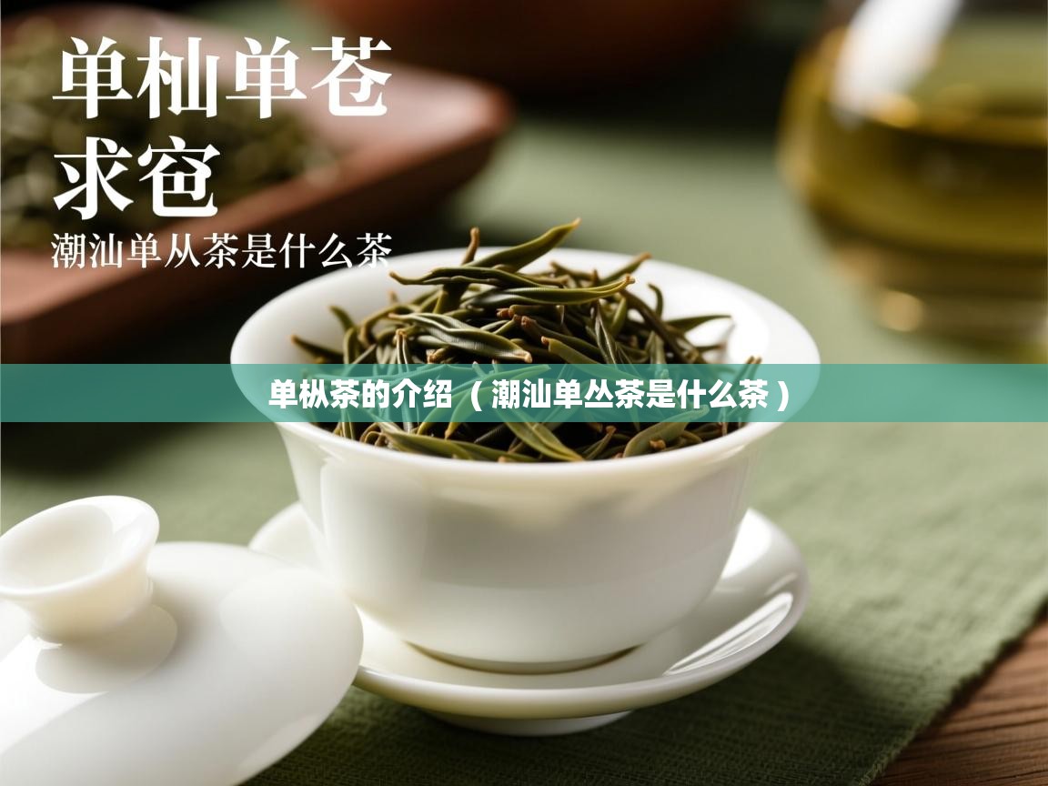  单枞茶的介绍  ( 潮汕单丛茶是什么茶 )