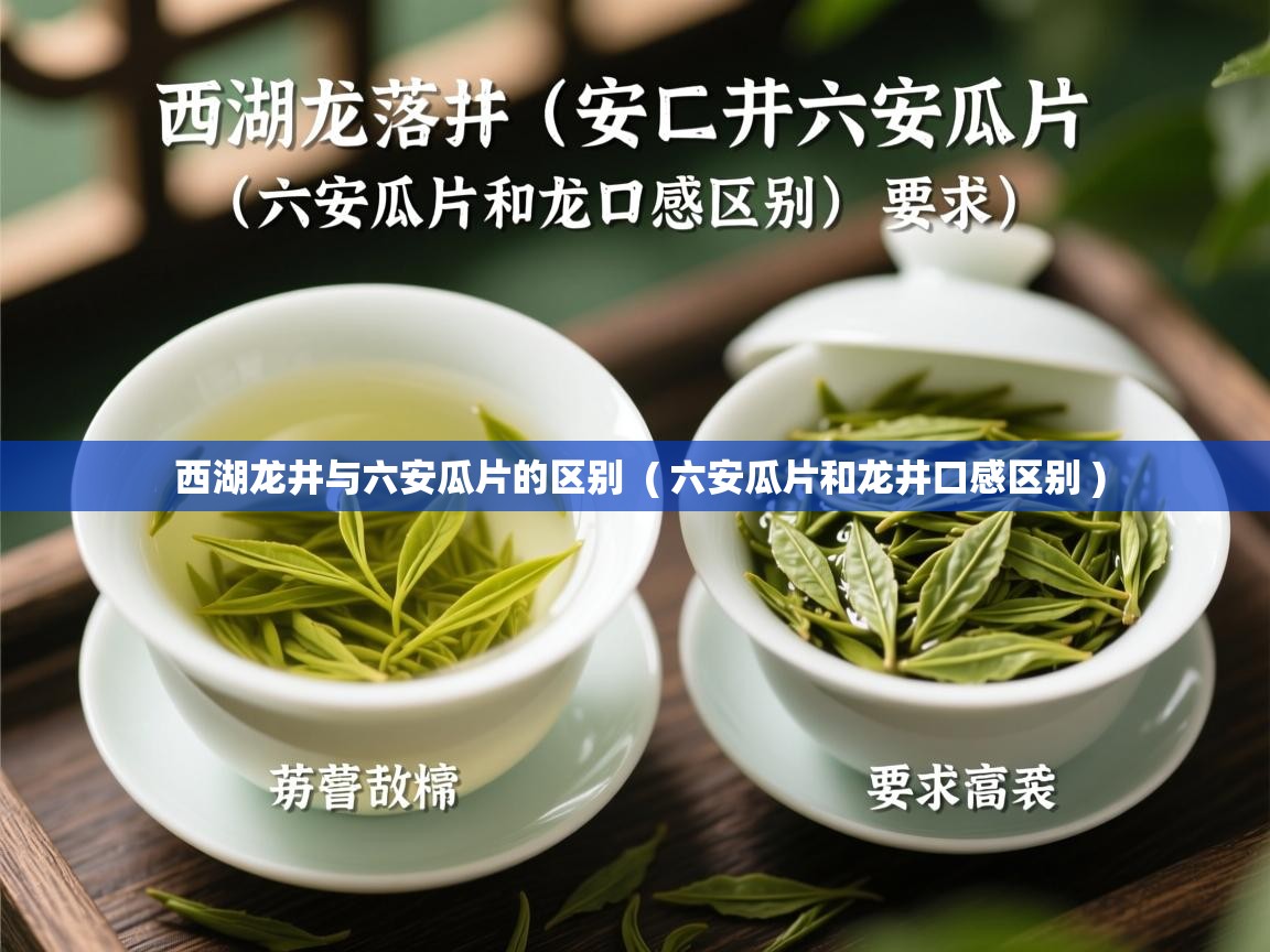  西湖龙井与六安瓜片的区别  ( 六安瓜片和龙井口感区别 )