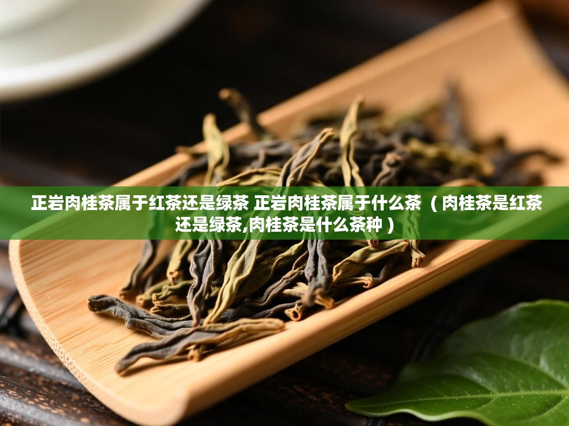  正岩肉桂茶属于红茶还是绿茶 正岩肉桂茶属于什么茶  ( 肉桂茶是红茶还是绿茶,肉桂茶是什么茶种 )