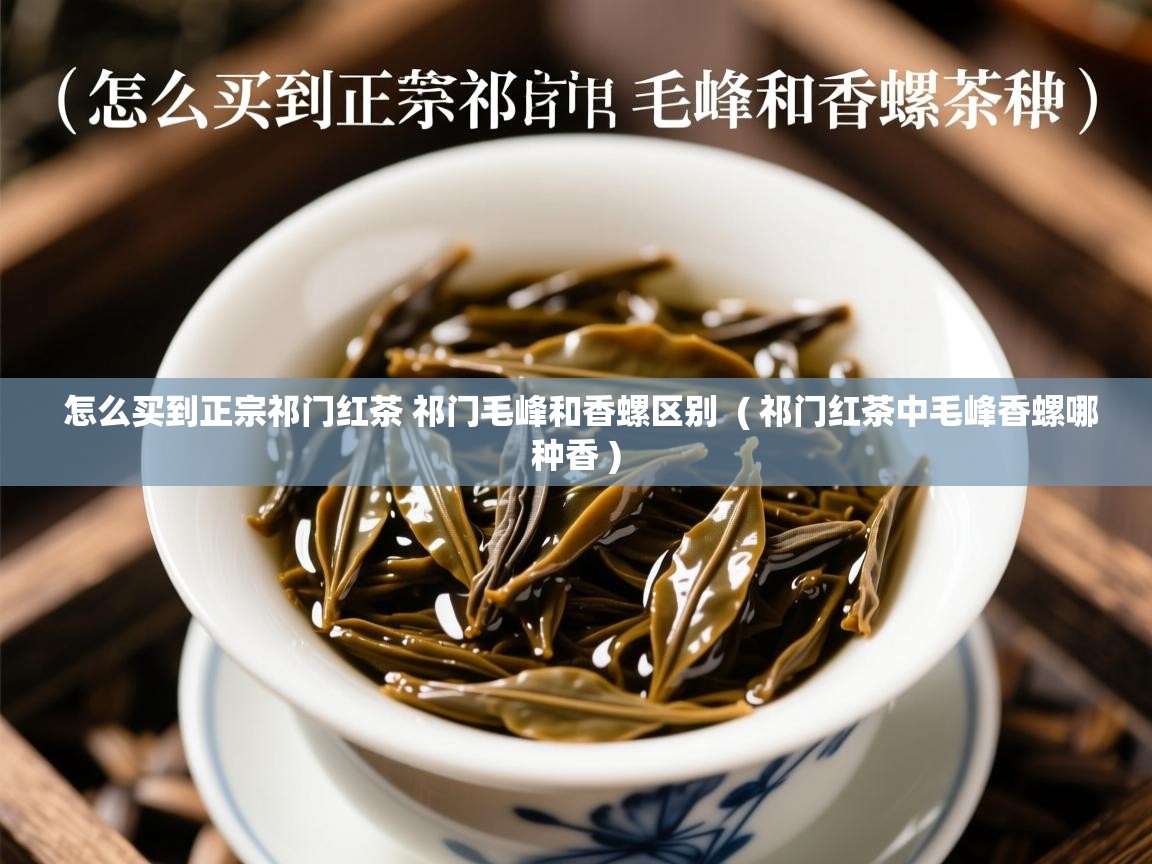  怎么买到正宗祁门红茶 祁门毛峰和香螺区别  ( 祁门红茶中毛峰香螺哪种香 )