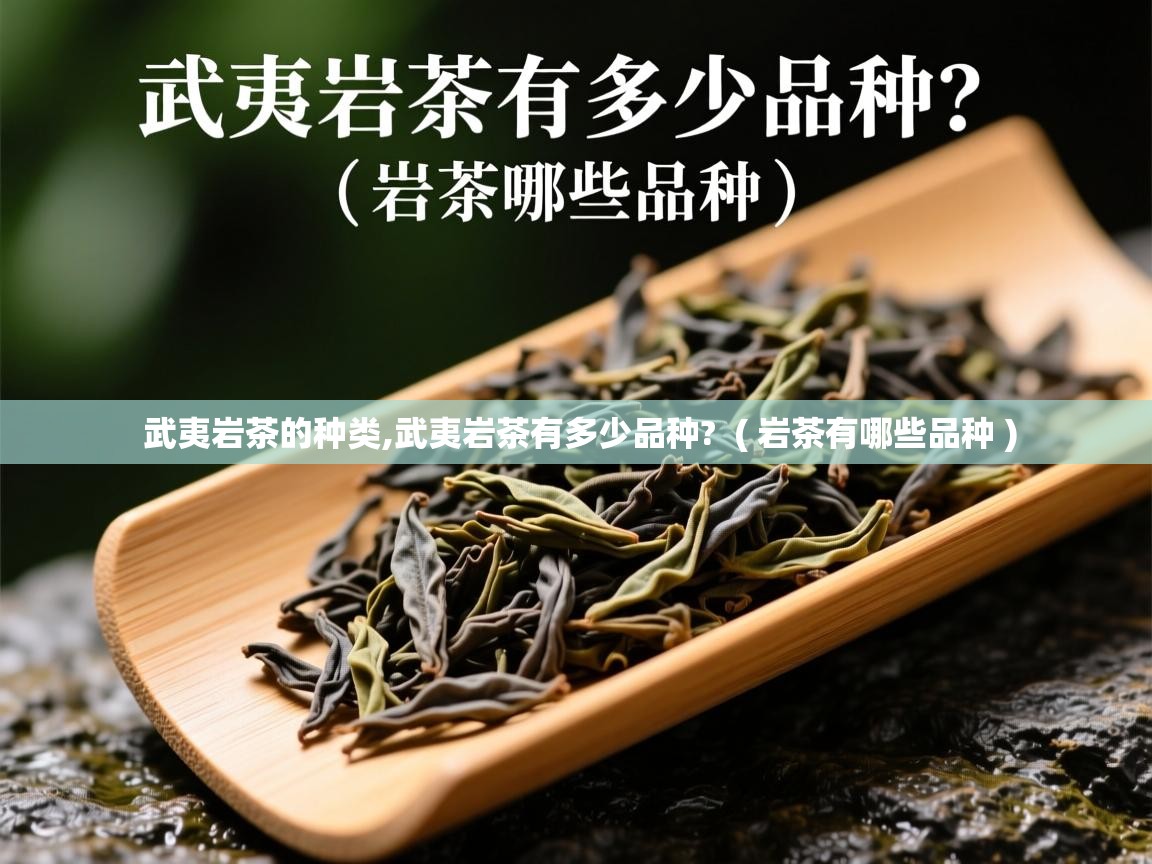  武夷岩茶的种类,武夷岩茶有多少品种?  ( 岩茶有哪些品种 )