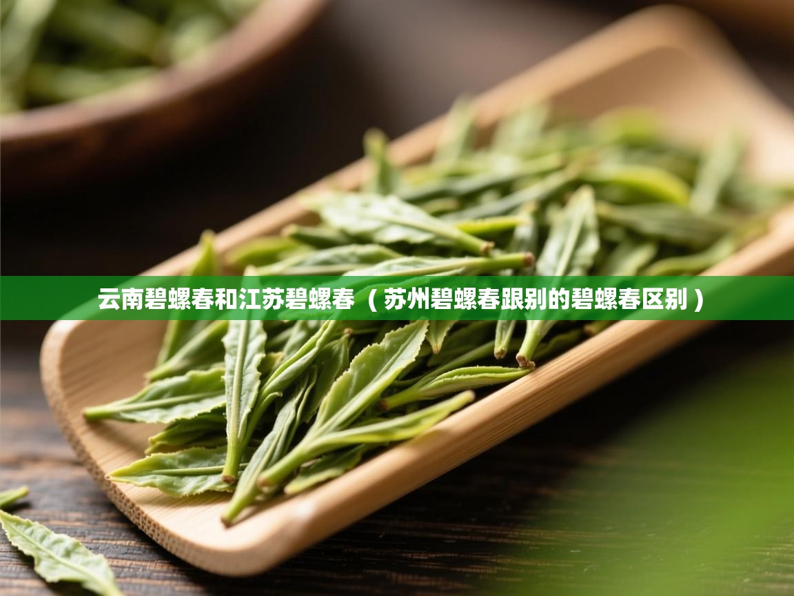  云南碧螺春和江苏碧螺春  ( 苏州碧螺春跟别的碧螺春区别 )