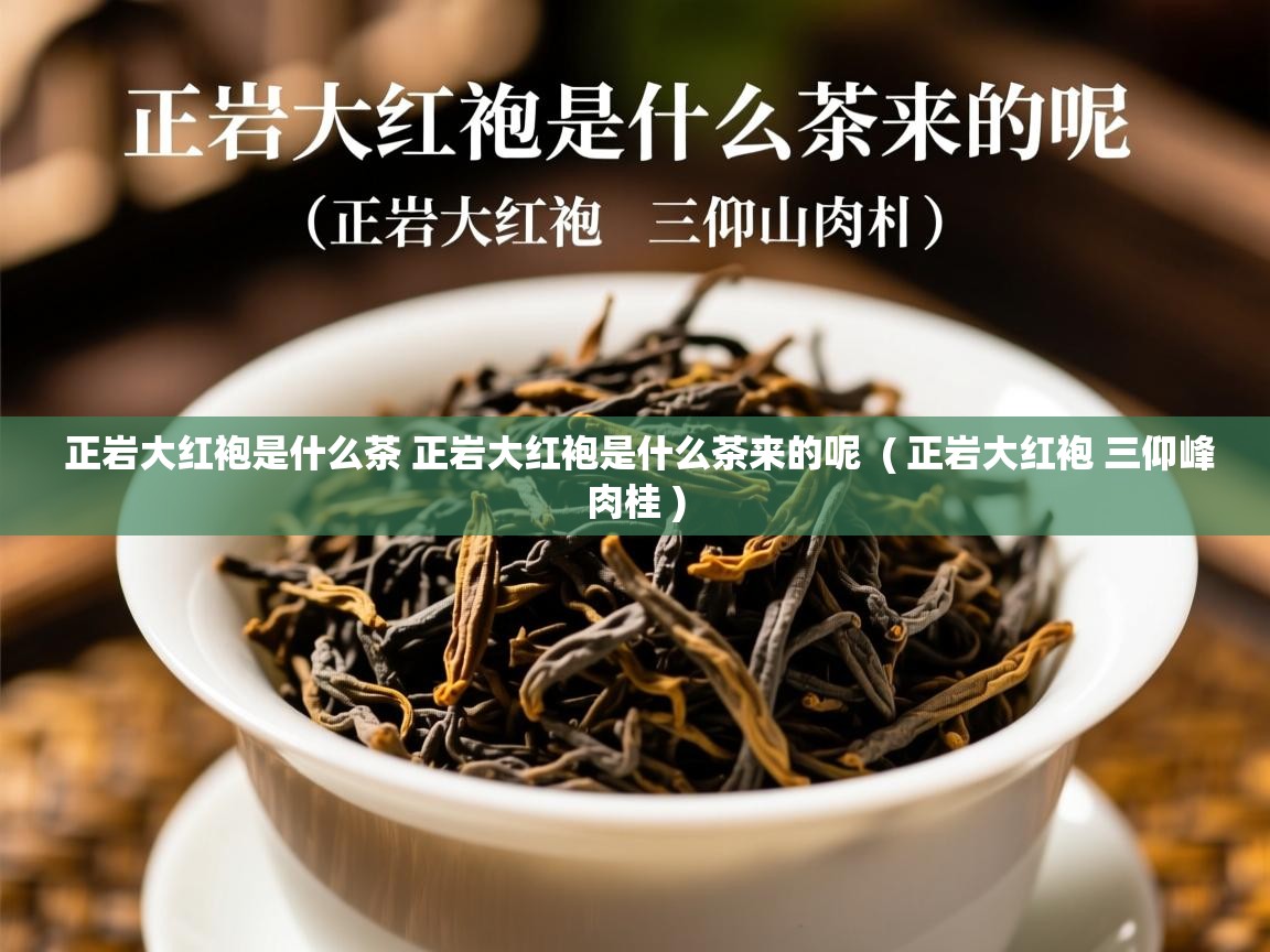  正岩大红袍是什么茶 正岩大红袍是什么茶来的呢  ( 正岩大红袍 三仰峰肉桂 )