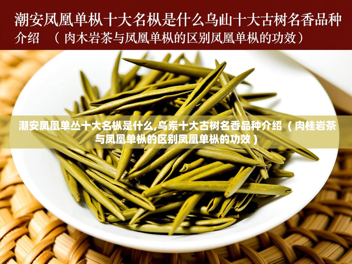 详细阅读: 潮安凤凰单丛十大名枞是什么,乌岽十大古树名香品种介绍  ( 肉桂岩茶与凤凰单枞的区别凤凰单枞的功效 )  潮安凤凰单丛十大名枞是什么,乌岽十大古树名香品种介绍  ( 肉桂岩茶与凤凰单枞的区别凤凰单枞的功效 )