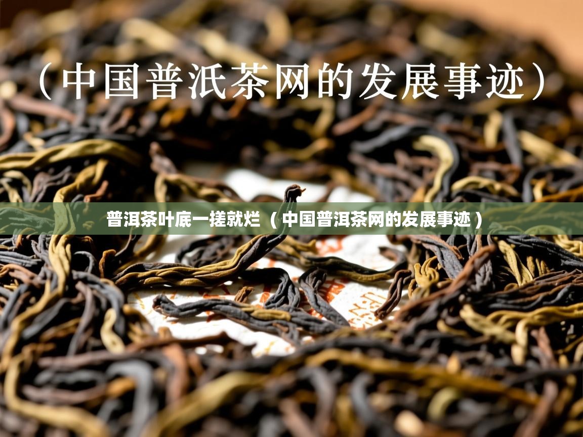  普洱茶叶底一搓就烂  ( 中国普洱茶网的发展事迹 )