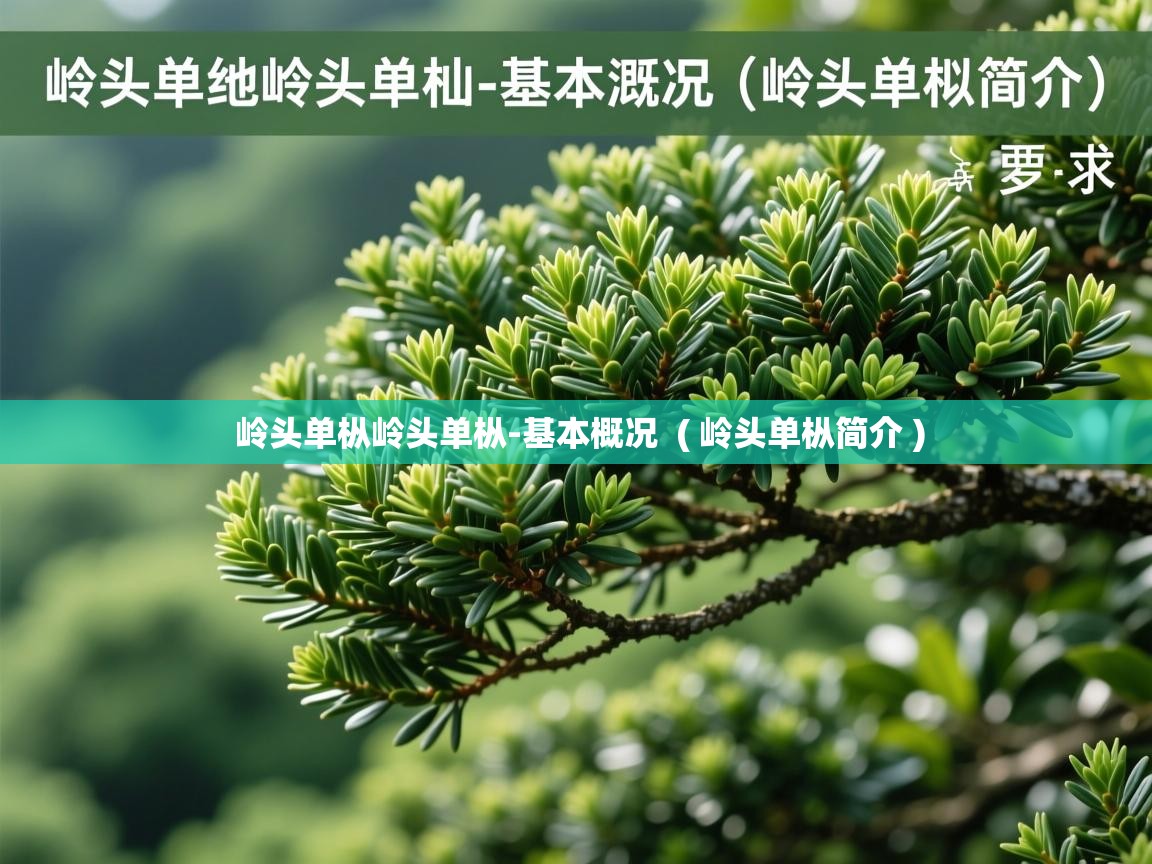 详细阅读: 岭头单枞岭头单枞-基本概况  ( 岭头单枞简介 )  岭头单枞岭头单枞-基本概况  ( 岭头单枞简介 )