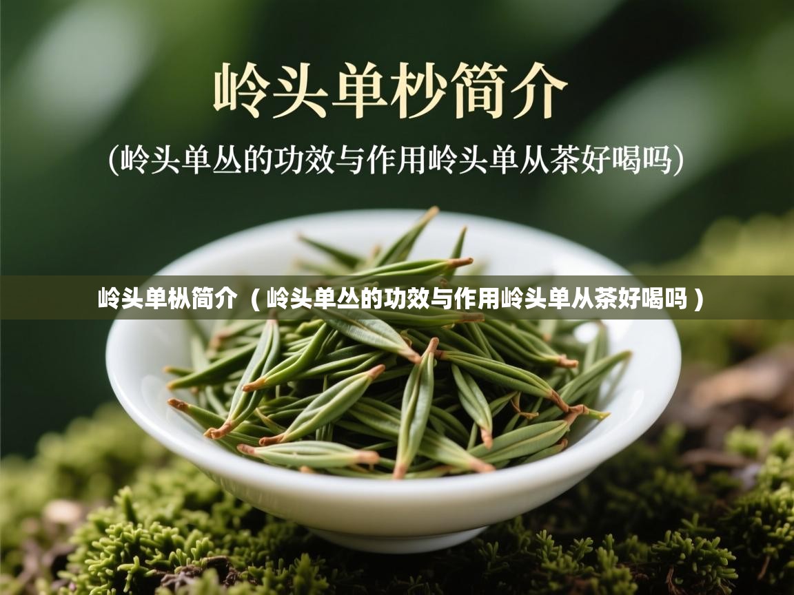 详细阅读: 岭头单枞简介  ( 岭头单丛的功效与作用岭头单从茶好喝吗 )  岭头单枞简介  ( 岭头单丛的功效与作用岭头单从茶好喝吗 )