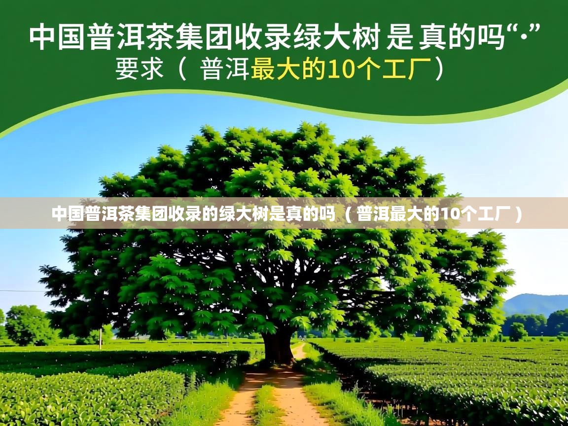  中国普洱茶集团收录的绿大树是真的吗  ( 普洱最大的10个工厂 )