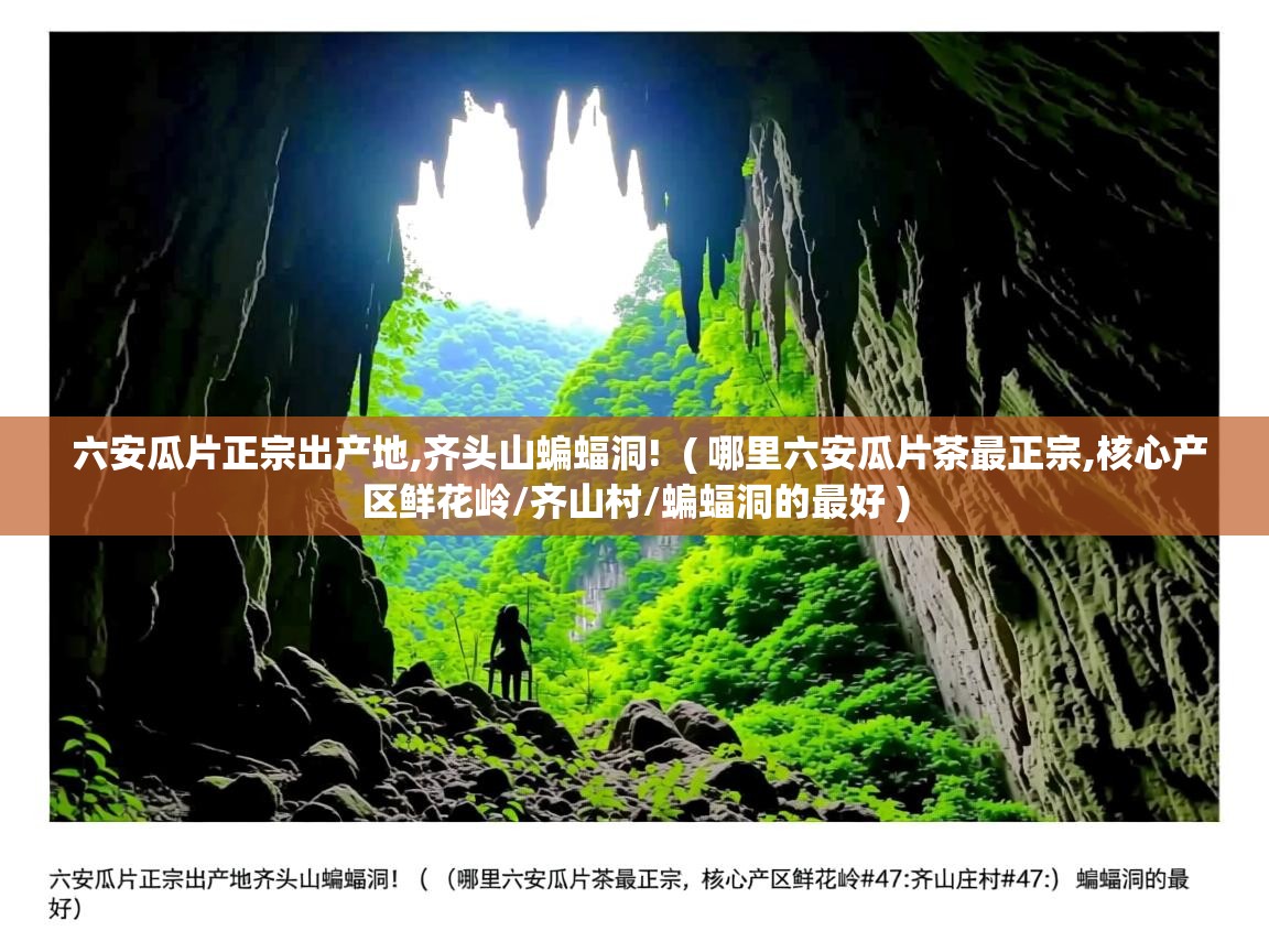  六安瓜片正宗出产地,齐头山蝙蝠洞!  ( 哪里六安瓜片茶最正宗,核心产区鲜花岭/齐山村/蝙蝠洞的最好 )