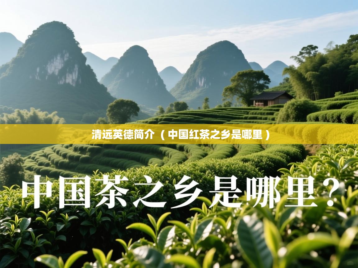  清远英德简介  ( 中国红茶之乡是哪里 )