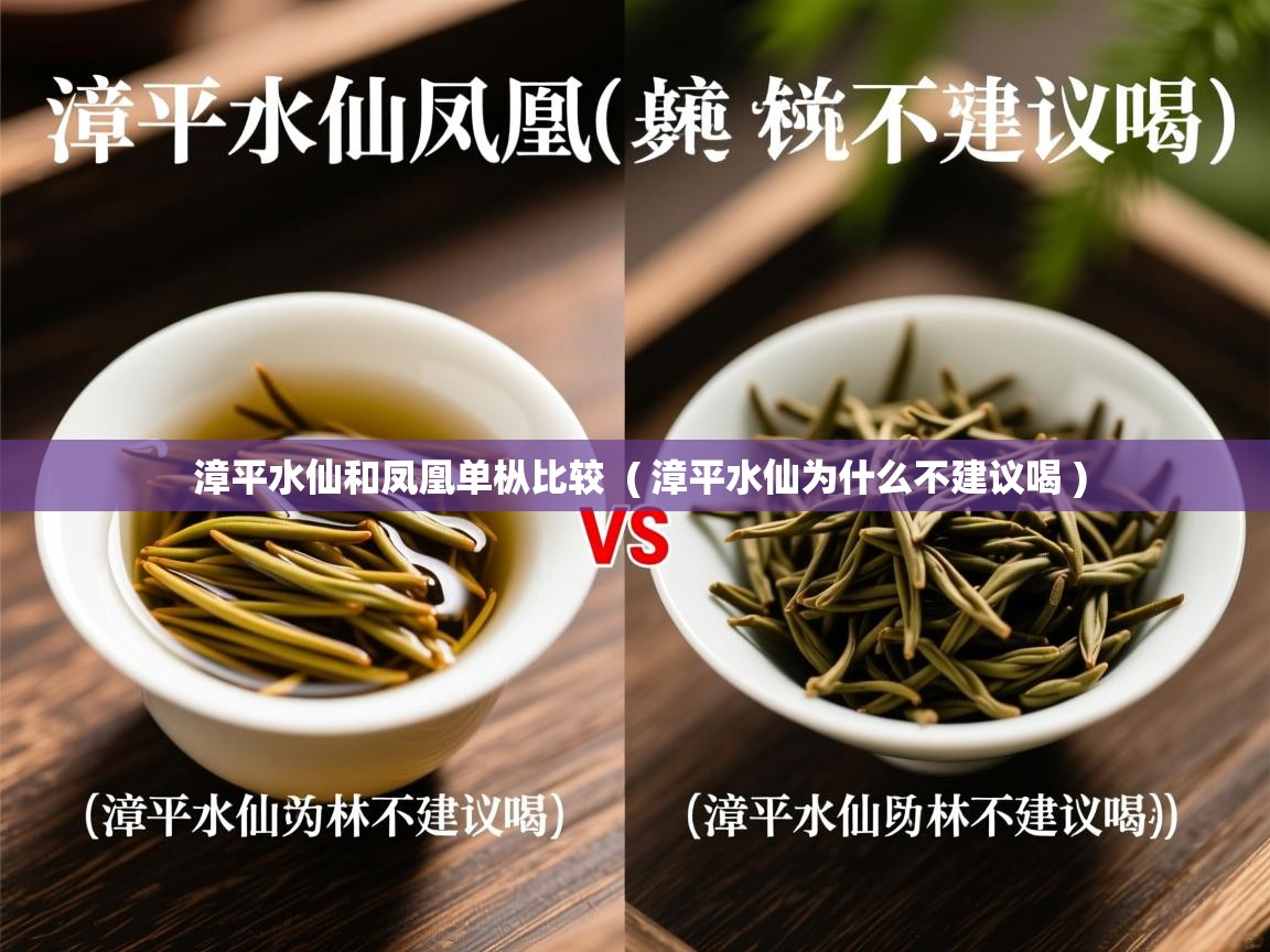 详细阅读: 漳平水仙和凤凰单枞比较  ( 漳平水仙为什么不建议喝 )  漳平水仙和凤凰单枞比较  ( 漳平水仙为什么不建议喝 )