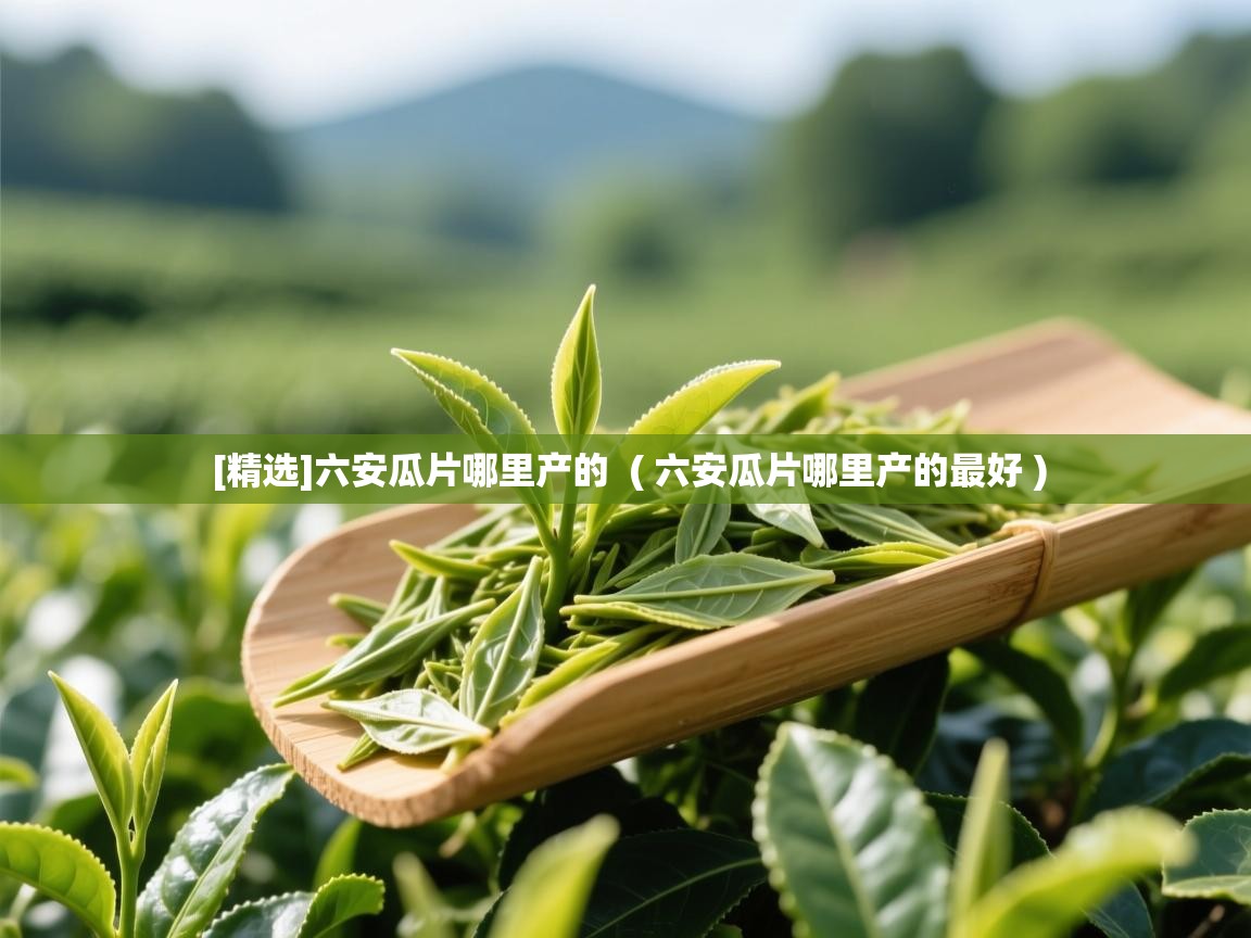  [精选]六安瓜片哪里产的  ( 六安瓜片哪里产的最好 )