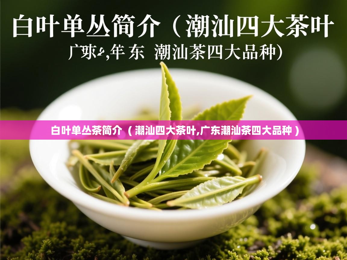 详细阅读: 白叶单丛茶简介  ( 潮汕四大茶叶,广东潮汕茶四大品种 )  白叶单丛茶简介  ( 潮汕四大茶叶,广东潮汕茶四大品种 )