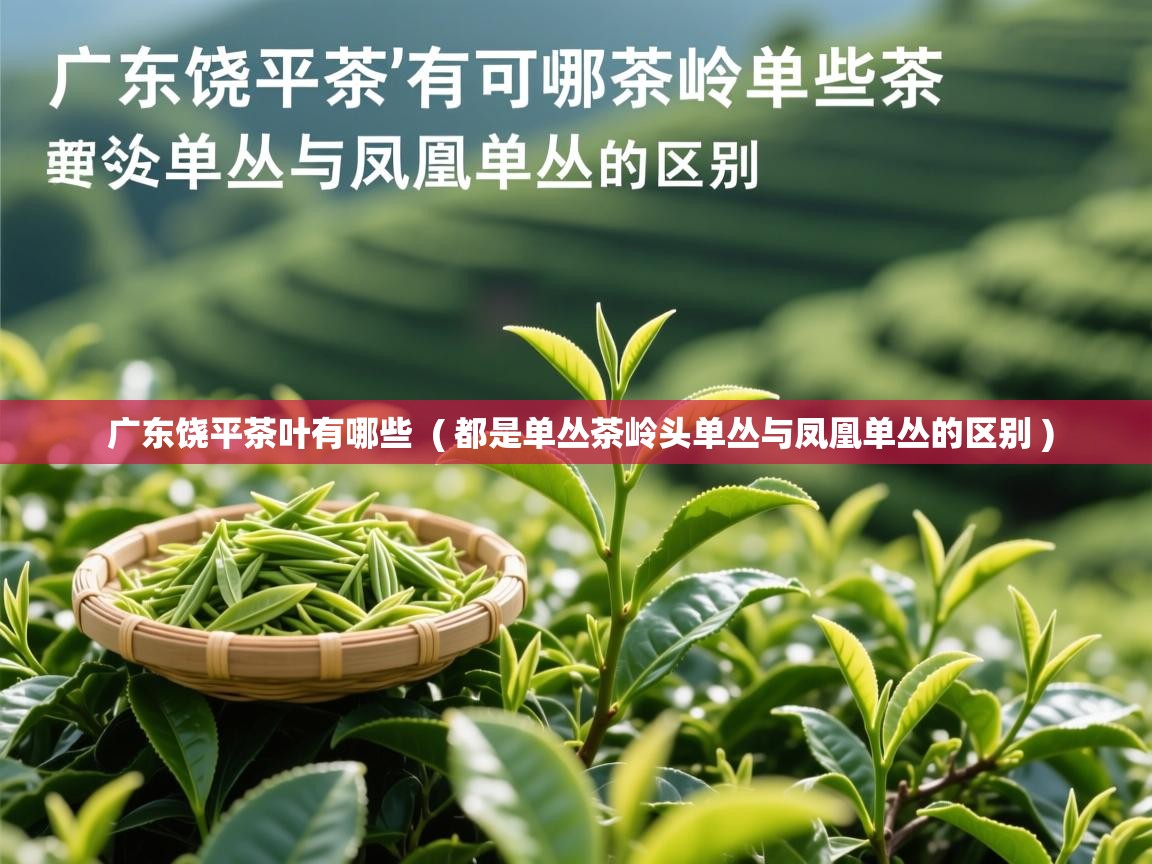 详细阅读: 广东饶平茶叶有哪些  ( 都是单丛茶岭头单丛与凤凰单丛的区别 )  广东饶平茶叶有哪些  ( 都是单丛茶岭头单丛与凤凰单丛的区别 )