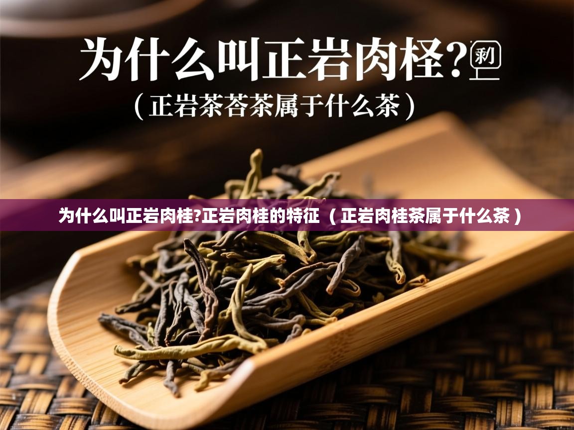  为什么叫正岩肉桂?正岩肉桂的特征  ( 正岩肉桂茶属于什么茶 )