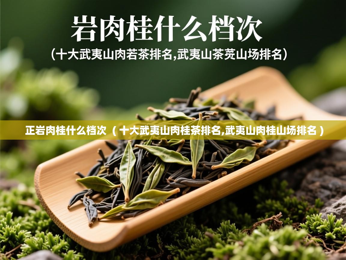 详细阅读: 正岩肉桂什么档次  ( 十大武夷山肉桂茶排名,武夷山肉桂山场排名 )  正岩肉桂什么档次  ( 十大武夷山肉桂茶排名,武夷山肉桂山场排名 )