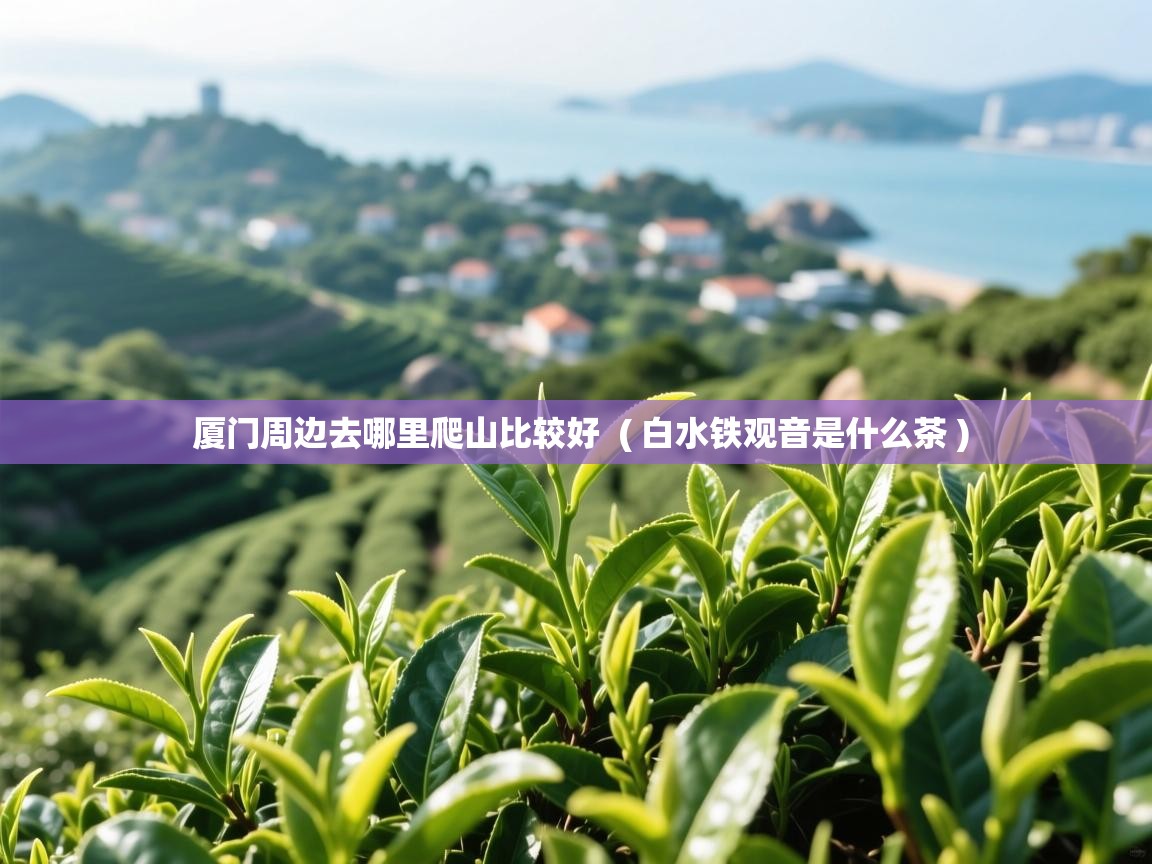 详细阅读: 厦门周边去哪里爬山比较好  ( 白水铁观音是什么茶 )  厦门周边去哪里爬山比较好  ( 白水铁观音是什么茶 )