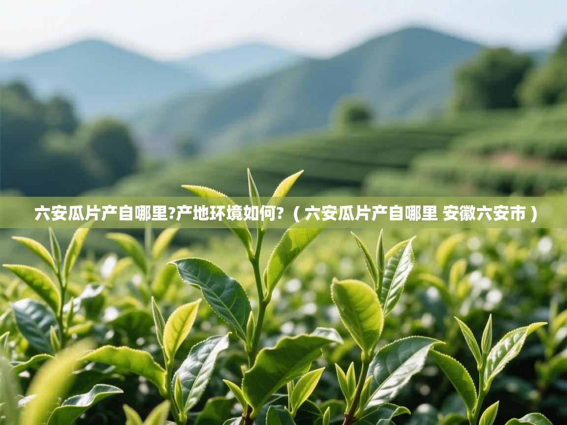 详细阅读: 六安瓜片产自哪里?产地环境如何?  ( 六安瓜片产自哪里 安徽六安市 )  六安瓜片产自哪里?产地环境如何?  ( 六安瓜片产自哪里 安徽六安市 )