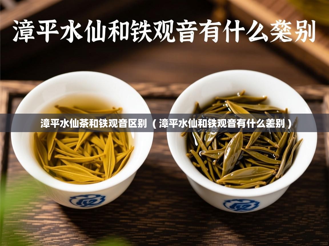 详细阅读: 漳平水仙茶和铁观音区别  ( 漳平水仙和铁观音有什么差别 )  漳平水仙茶和铁观音区别  ( 漳平水仙和铁观音有什么差别 )