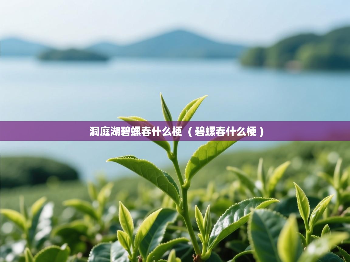  洞庭湖碧螺春什么梗  ( 碧螺春什么梗 )
