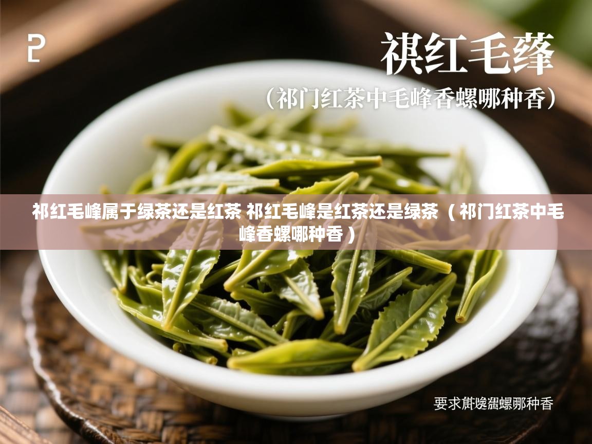 详细阅读: 祁红毛峰属于绿茶还是红茶 祁红毛峰是红茶还是绿茶  ( 祁门红茶中毛峰香螺哪种香 )  祁红毛峰属于绿茶还是红茶 祁红毛峰是红茶还是绿茶  ( 祁门红茶中毛峰香螺哪种香 )