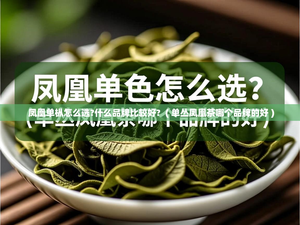 详细阅读: 凤凰单枞怎么选?什么品牌比较好?  ( 单丛凤凰茶哪个品牌的好 )  凤凰单枞怎么选?什么品牌比较好?  ( 单丛凤凰茶哪个品牌的好 )