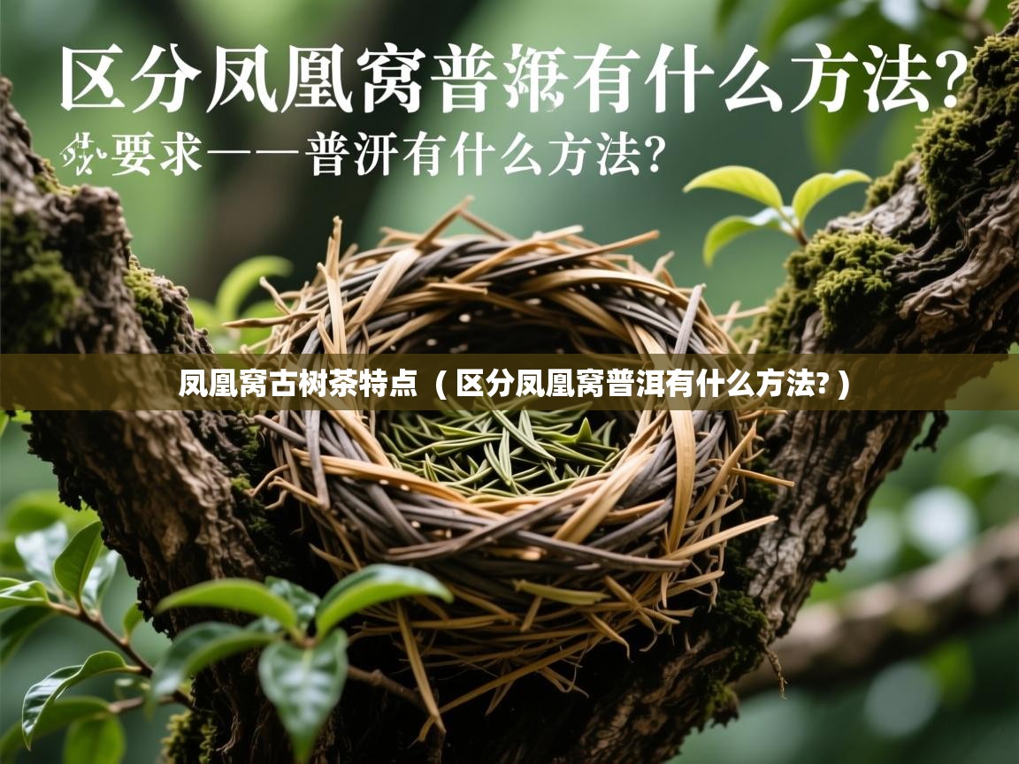 详细阅读: 凤凰窝古树茶特点  ( 区分凤凰窝普洱有什么方法? )  凤凰窝古树茶特点  ( 区分凤凰窝普洱有什么方法? )