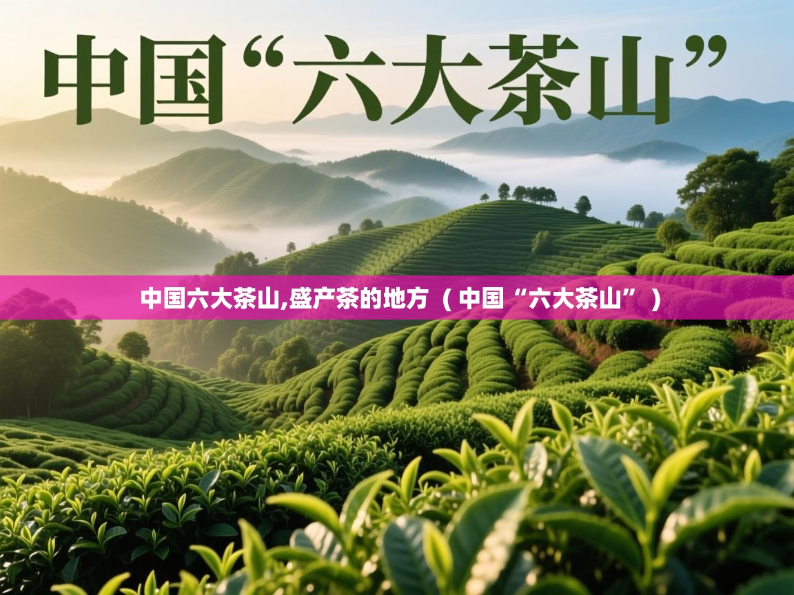 详细阅读: 中国六大茶山,盛产茶的地方  ( 中国“六大茶山” )  中国六大茶山,盛产茶的地方  ( 中国“六大茶山” )