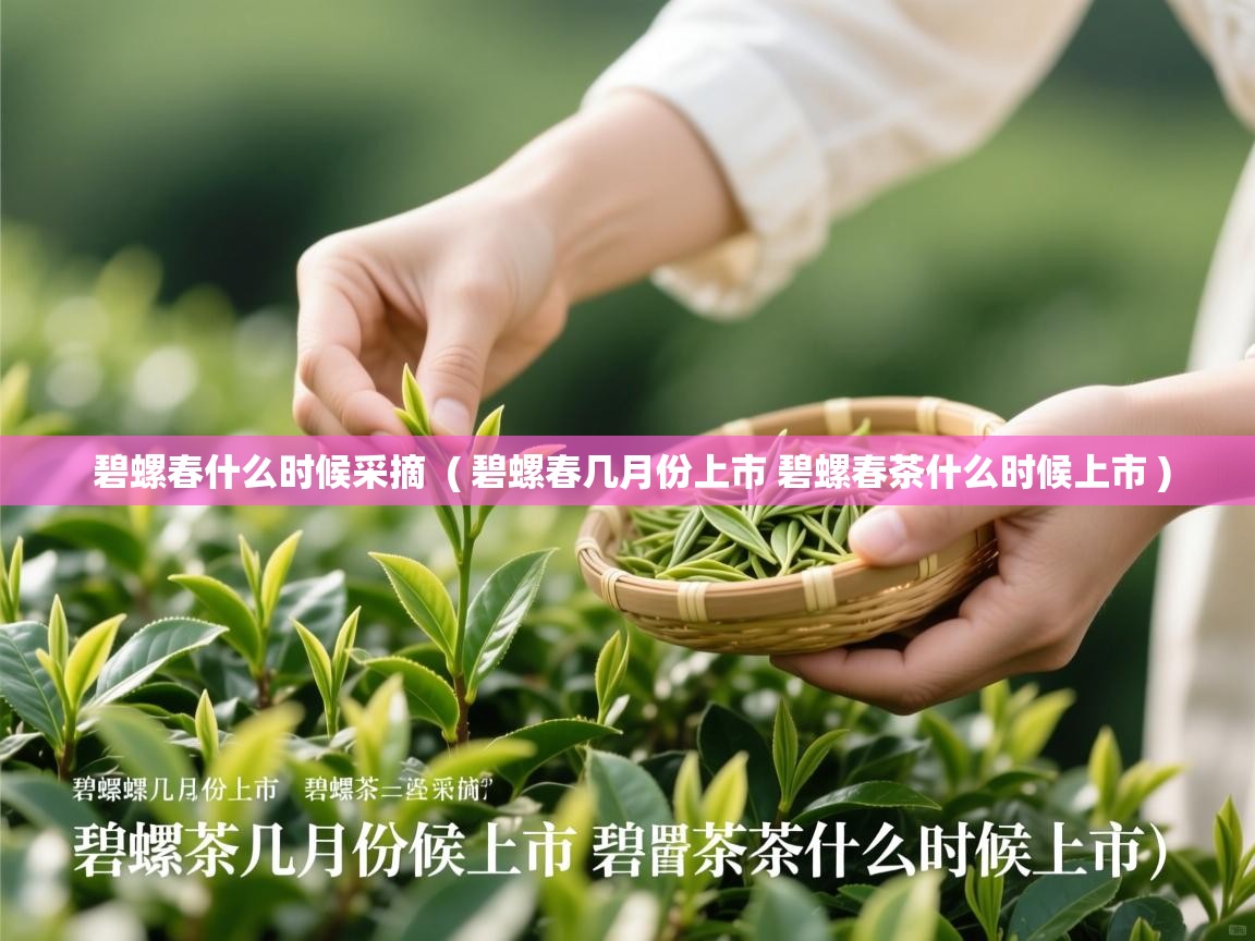 详细阅读: 碧螺春什么时候采摘  ( 碧螺春几月份上市 碧螺春茶什么时候上市 )  碧螺春什么时候采摘  ( 碧螺春几月份上市 碧螺春茶什么时候上市 )