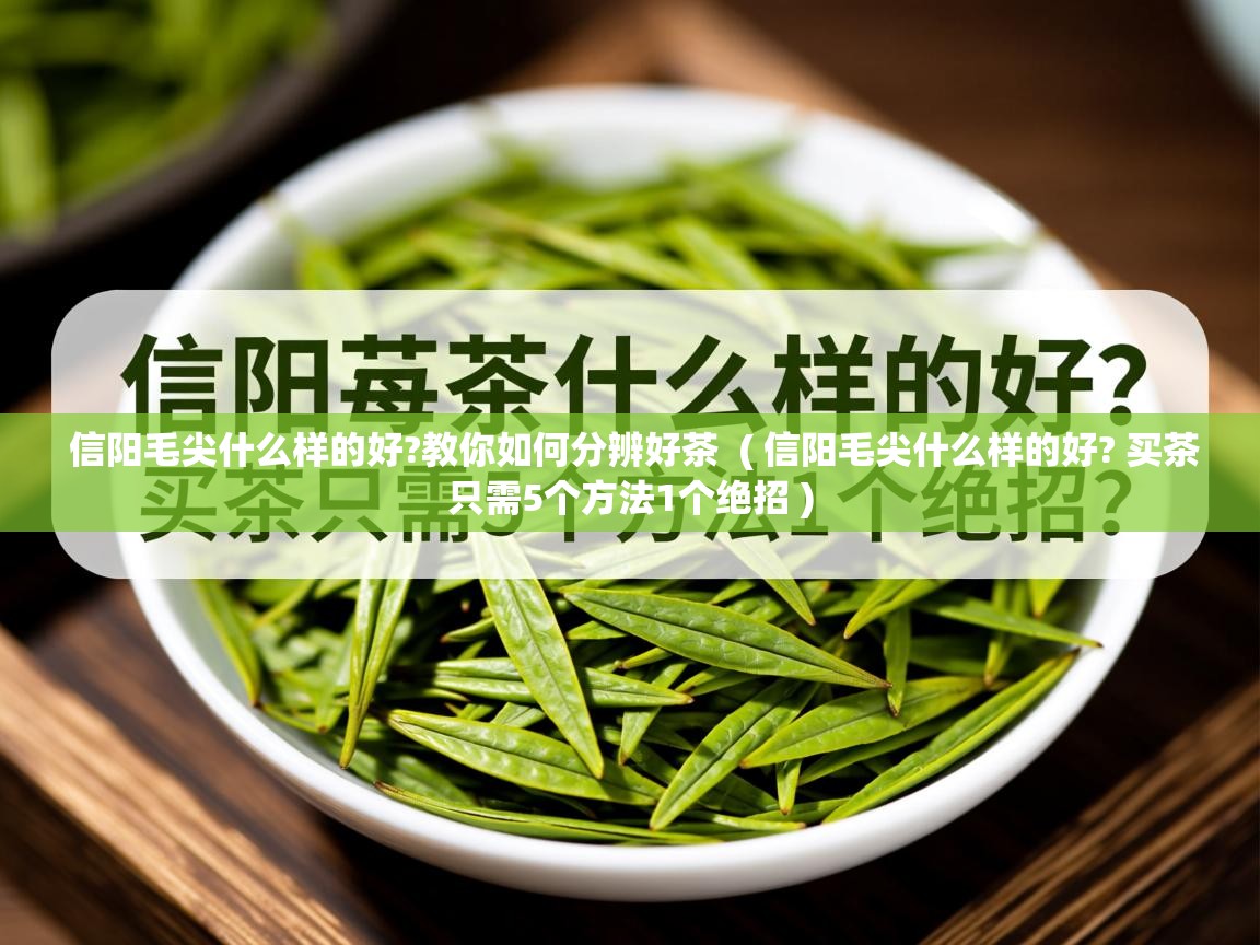 信阳毛尖什么样的好?教你如何分辨好茶  ( 信阳毛尖什么样的好? 买茶只需5个方法1个绝招 )  信阳毛尖什么样的好?教你如何分辨好茶  ( 信阳毛尖什么样的好? 买茶只需5个方法1个绝招 )