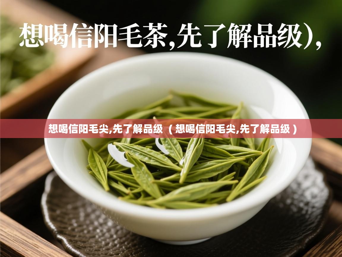  想喝信阳毛尖,先了解品级  ( 想喝信阳毛尖,先了解品级 )