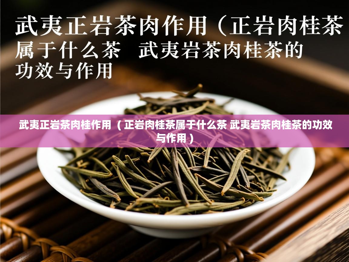  武夷正岩茶肉桂作用  ( 正岩肉桂茶属于什么茶 武夷岩茶肉桂茶的功效与作用 )