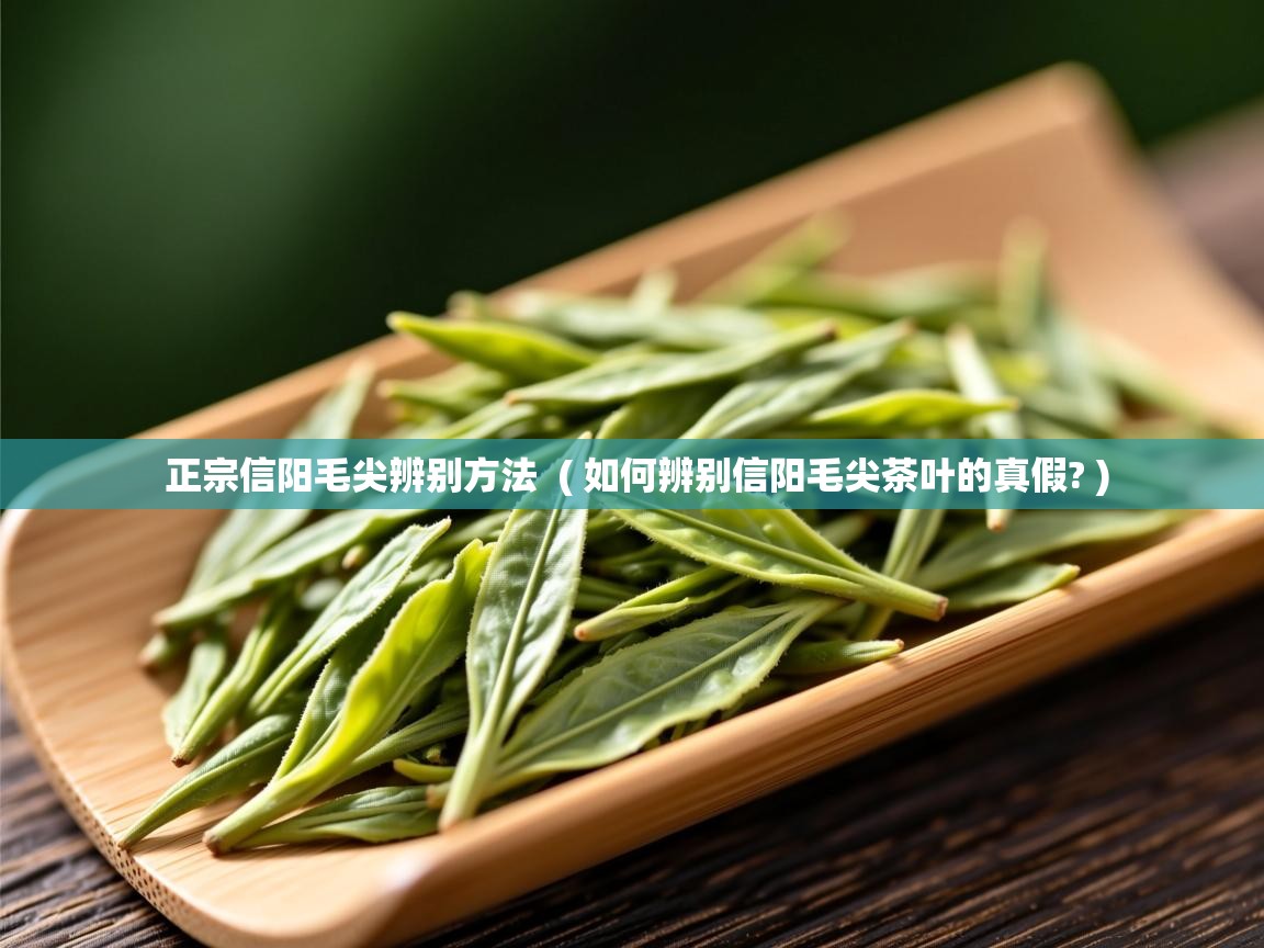  正宗信阳毛尖辨别方法  ( 如何辨别信阳毛尖茶叶的真假? )
