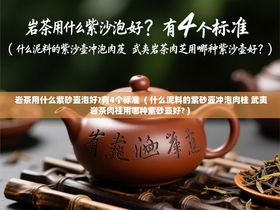  岩茶用什么紫砂壶泡好?有4个标准  ( 什么泥料的紫砂壶冲泡肉桂 武夷岩茶肉桂用哪种紫砂壶好? )