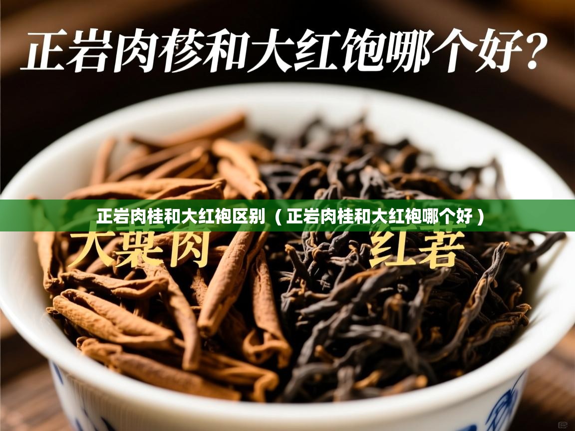  正岩肉桂和大红袍区别  ( 正岩肉桂和大红袍哪个好 )