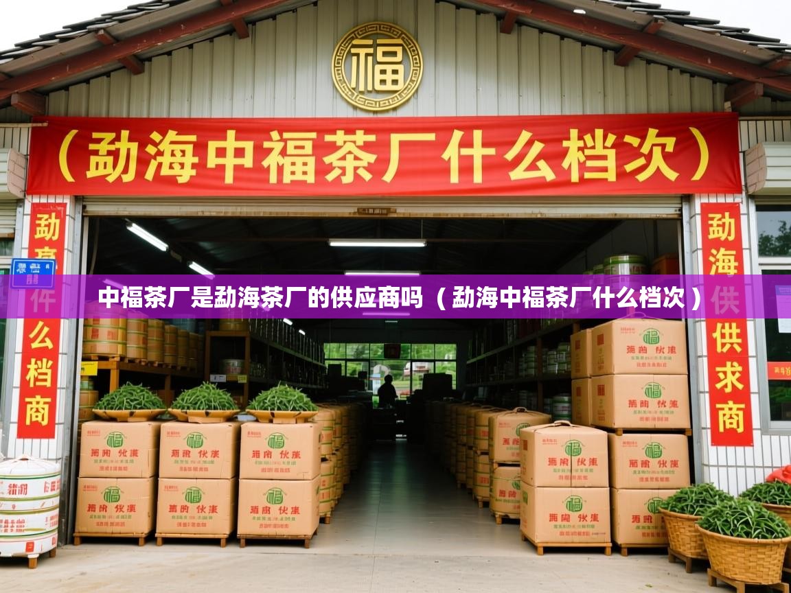  中福茶厂是勐海茶厂的供应商吗  ( 勐海中福茶厂什么档次 )