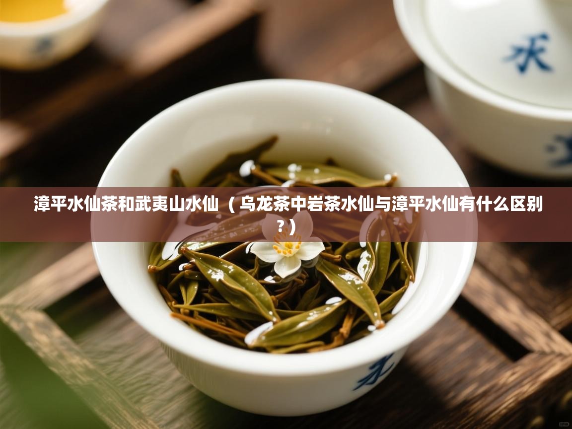  漳平水仙茶和武夷山水仙  ( 乌龙茶中岩茶水仙与漳平水仙有什么区别? )