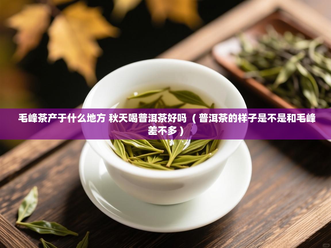  毛峰茶产于什么地方 秋天喝普洱茶好吗  ( 普洱茶的样子是不是和毛峰差不多 )