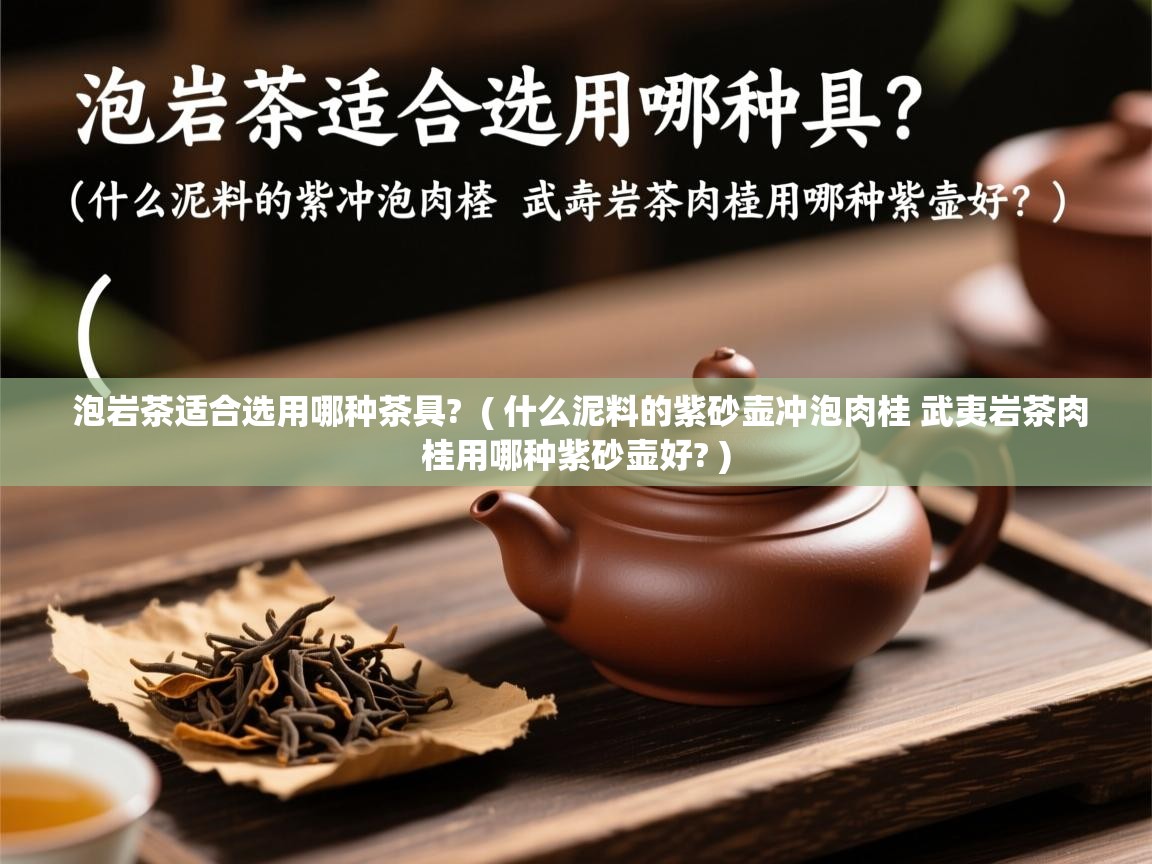 泡岩茶适合选用哪种茶具?  ( 什么泥料的紫砂壶冲泡肉桂 武夷岩茶肉桂用哪种紫砂壶好? )  泡岩茶适合选用哪种茶具?  ( 什么泥料的紫砂壶冲泡肉桂 武夷岩茶肉桂用哪种紫砂壶好? )