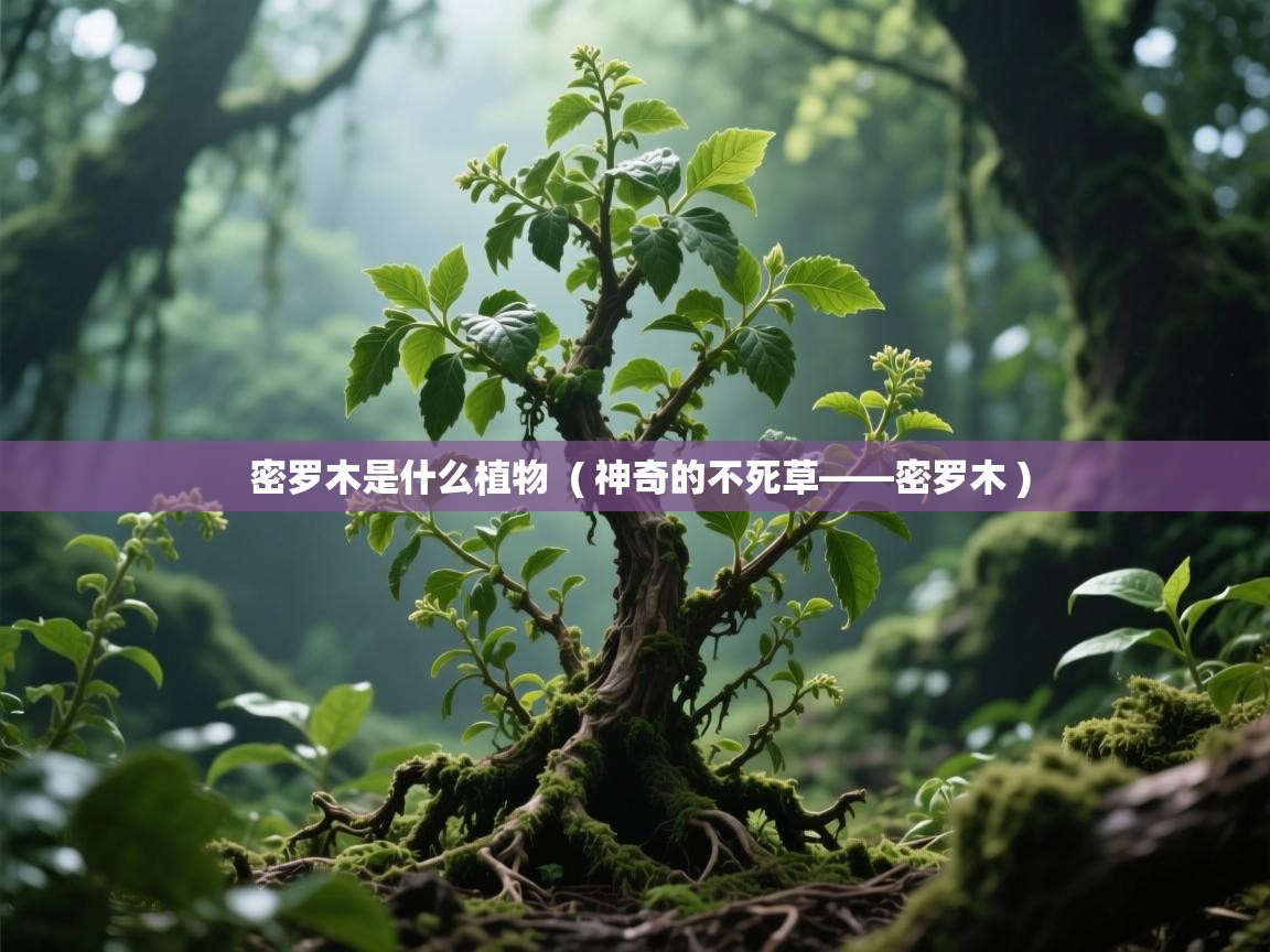  密罗木是什么植物  ( 神奇的不死草——密罗木 )