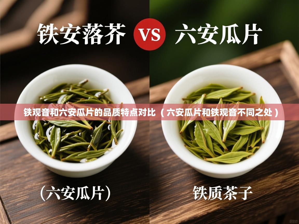  铁观音和六安瓜片的品质特点对比  ( 六安瓜片和铁观音不同之处 )