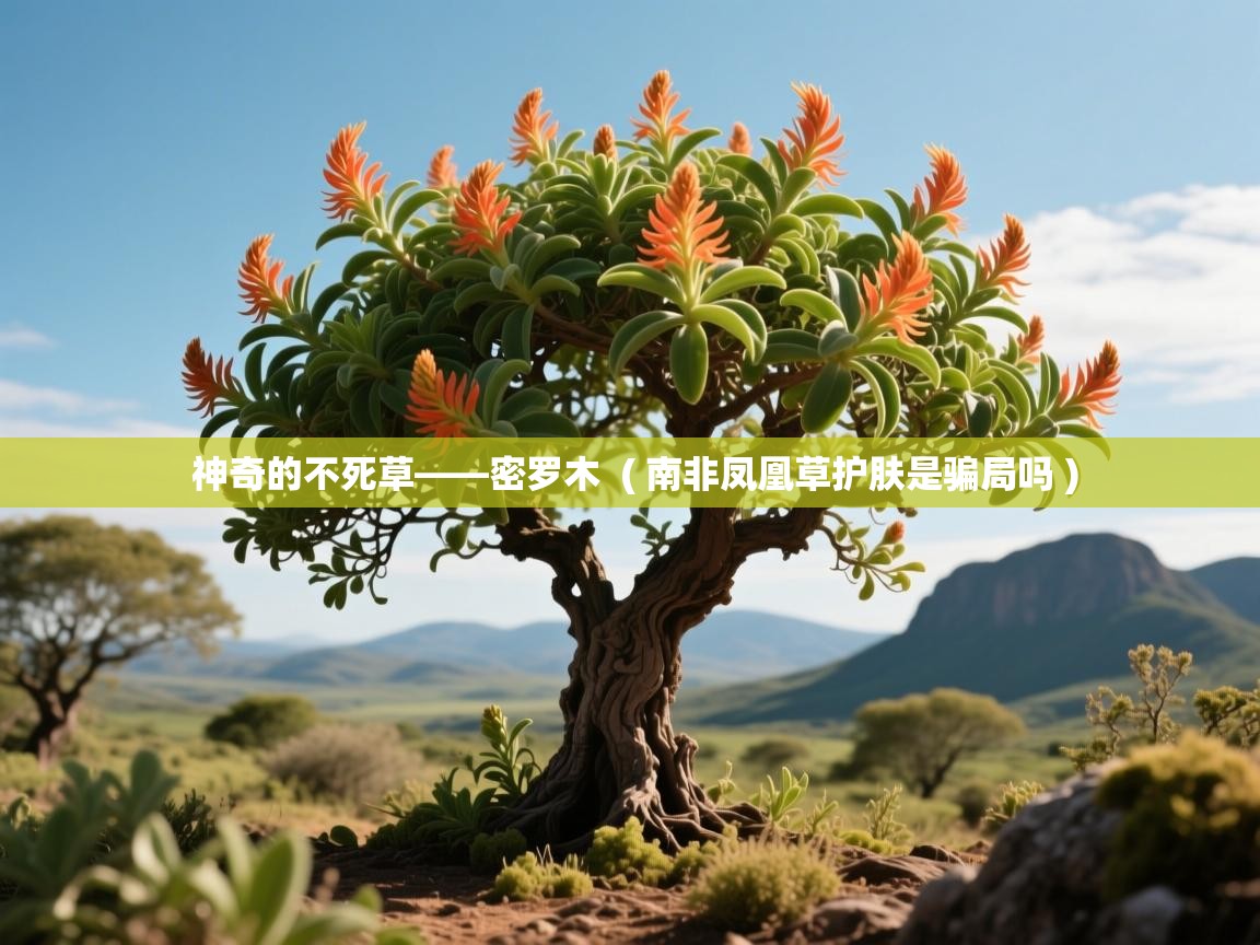 神奇的不死草——密罗木  ( 南非凤凰草护肤是骗局吗 )  神奇的不死草——密罗木  ( 南非凤凰草护肤是骗局吗 )