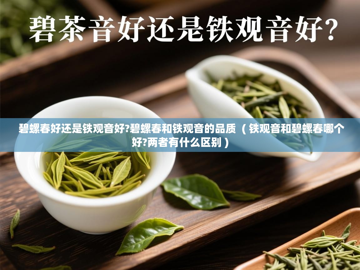  碧螺春好还是铁观音好?碧螺春和铁观音的品质  ( 铁观音和碧螺春哪个好?两者有什么区别 )