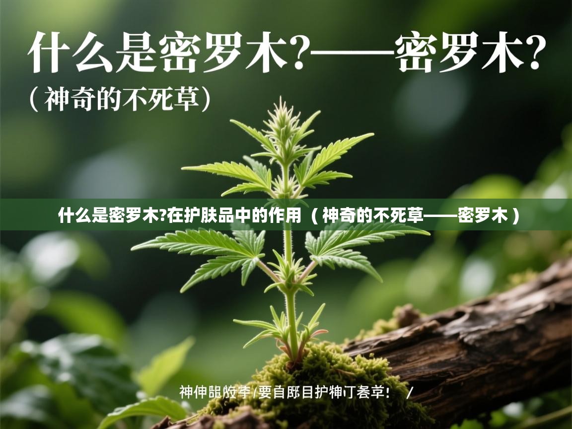  什么是密罗木?在护肤品中的作用  ( 神奇的不死草——密罗木 )