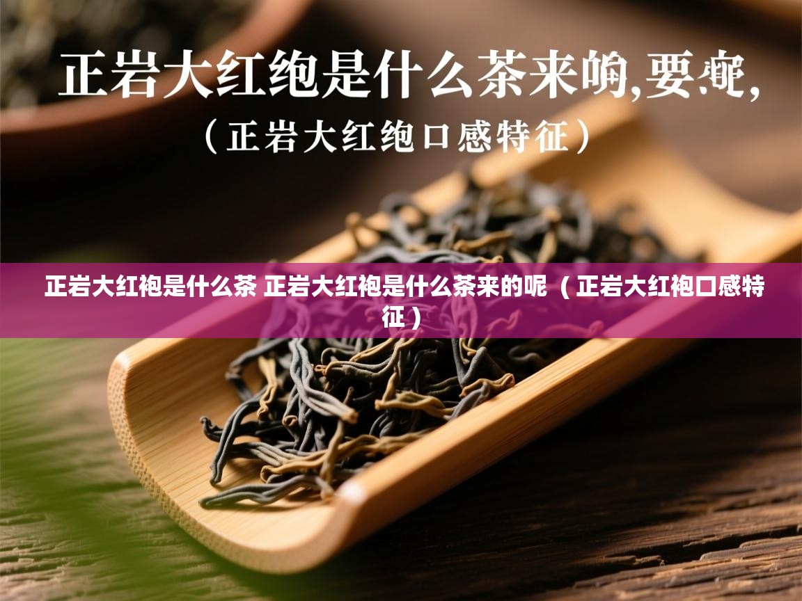  正岩大红袍是什么茶 正岩大红袍是什么茶来的呢  ( 正岩大红袍口感特征 )