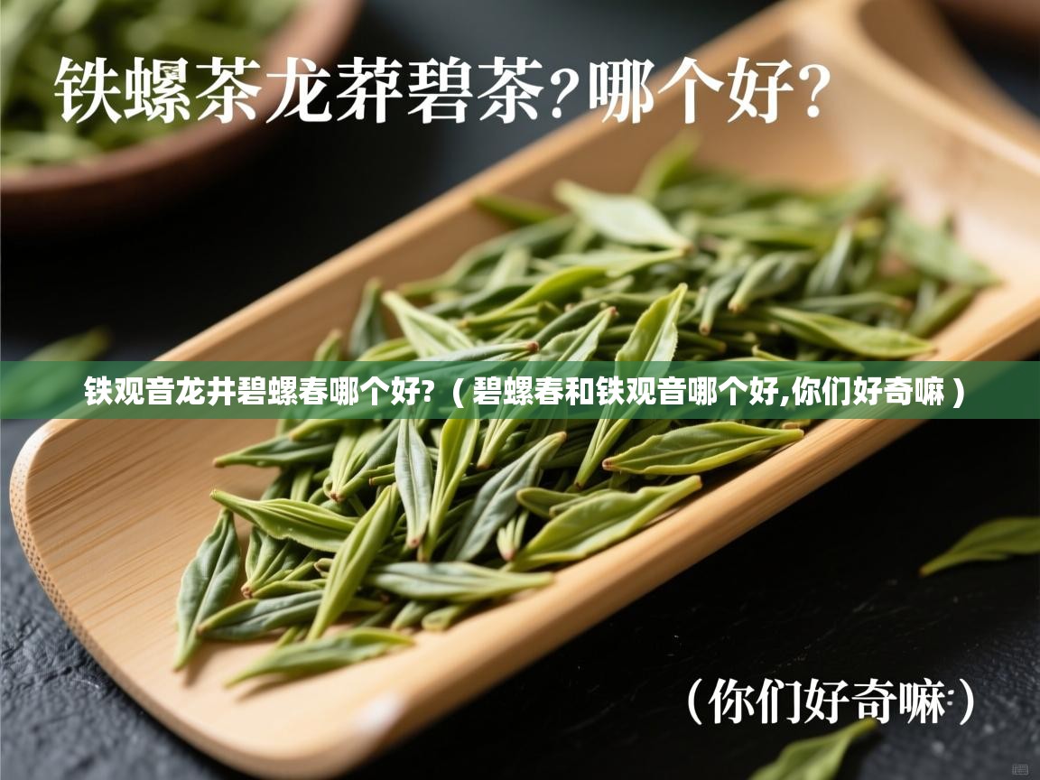 铁观音龙井碧螺春哪个好?  ( 碧螺春和铁观音哪个好,你们好奇嘛 )  铁观音龙井碧螺春哪个好?  ( 碧螺春和铁观音哪个好,你们好奇嘛 )