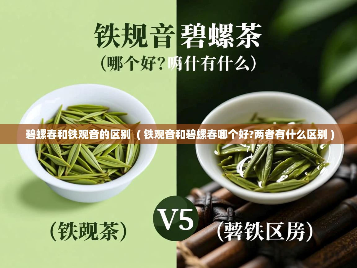  碧螺春和铁观音的区别  ( 铁观音和碧螺春哪个好?两者有什么区别 )