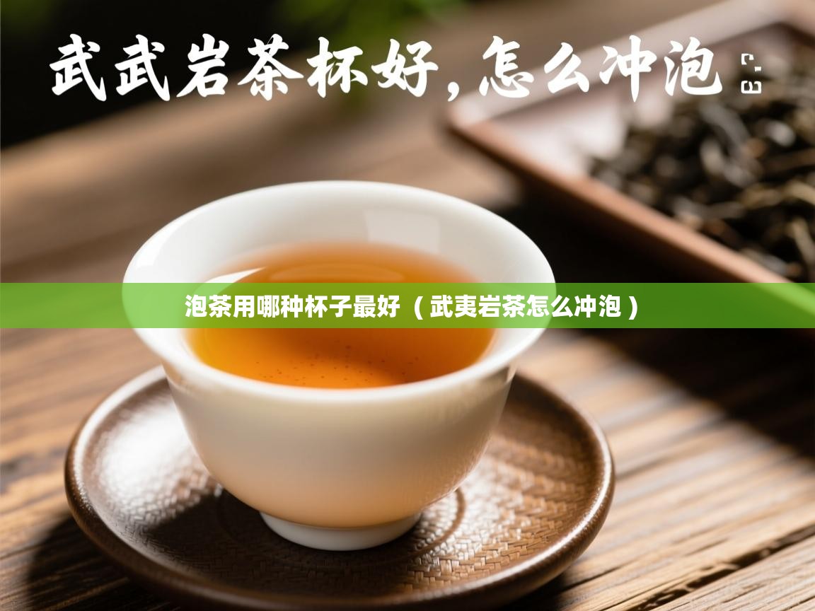 泡茶用哪种杯子最好 ( 武夷岩茶怎么冲泡 ) 泡茶用哪种杯子最好 ( 武夷岩茶怎么冲泡 )