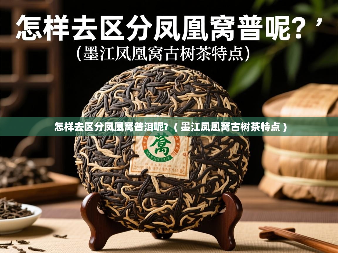  怎样去区分凤凰窝普洱呢?  ( 墨江凤凰窝古树茶特点 )